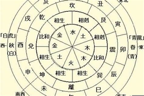 地支 五行屬性|天干地支五行屬性，你懂得分辦嗎？【八字2021】